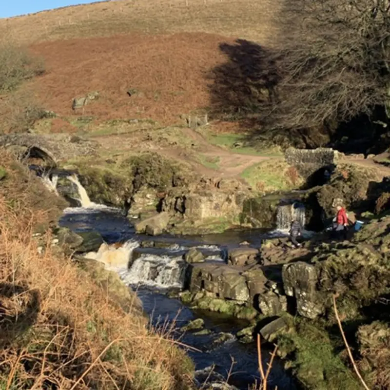 Tittesworth Half Marathon